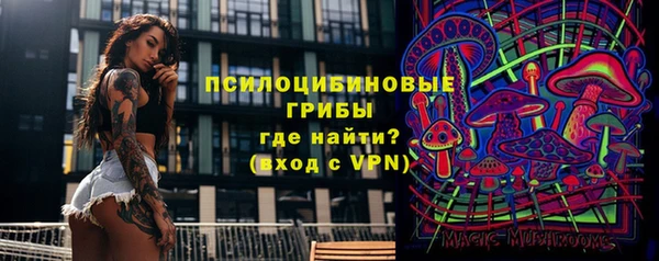 ALPHA PVP Мегион