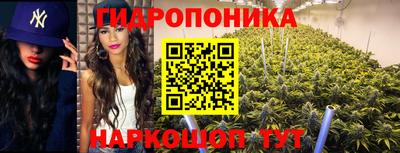 прущая мука Магадан
