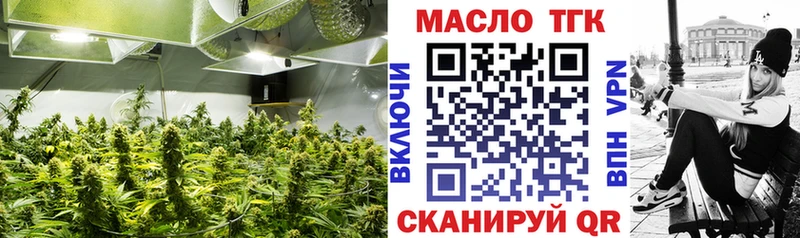 Купить закладки  Мегион  Дистиллят ТГК концентрат 