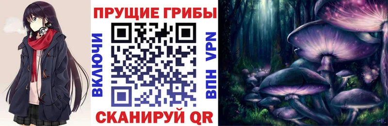 Псилоцибиновые грибы MAGIC MUSHROOMS  Купить  Мегион 