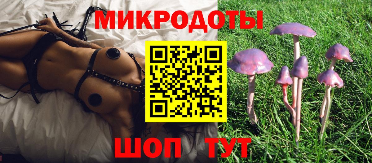 Мегион  Псилоцибиновые грибы прущие грибы  Вход с VPN 