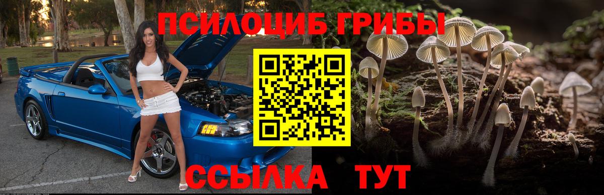 Галлюциногенные грибы Magic Shrooms Мегион